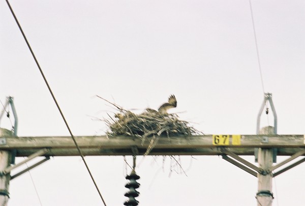 Safe Landing