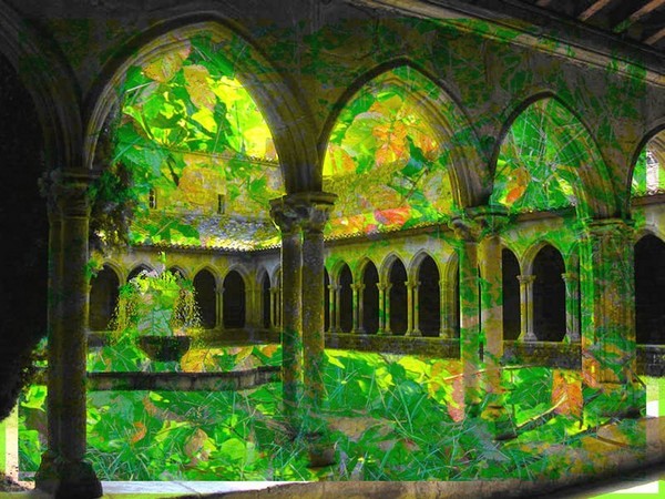 Courtyard with Leaves