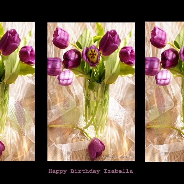 Happy Birthday Izabella