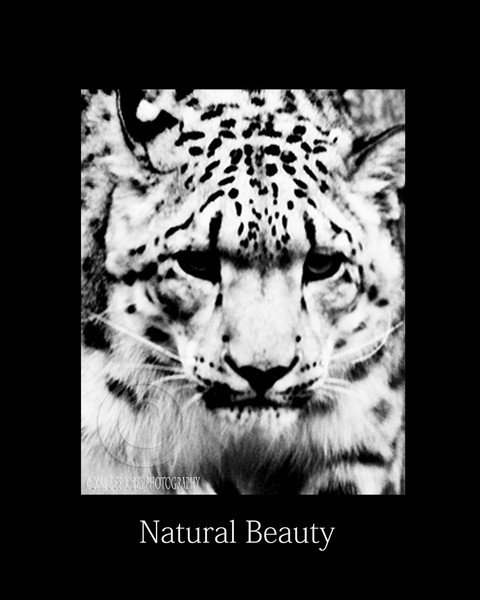 Natural Beauty