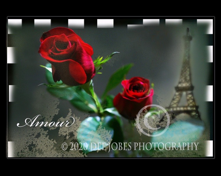 Amour Photo Art
