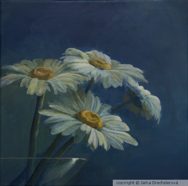 White Daisy