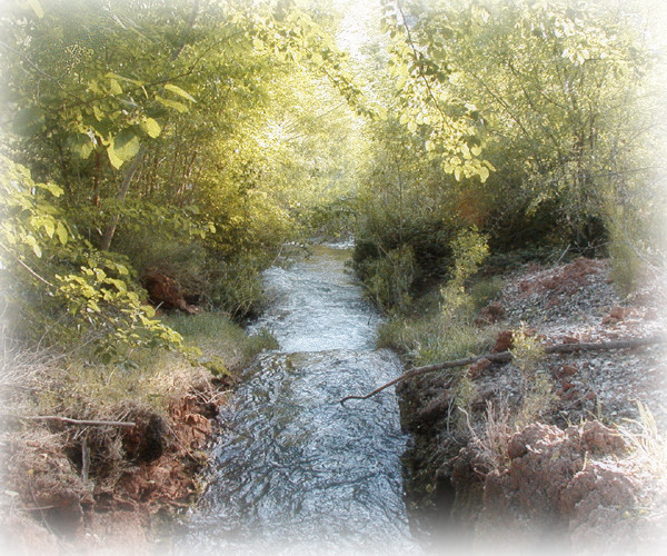 Dreams and Streams