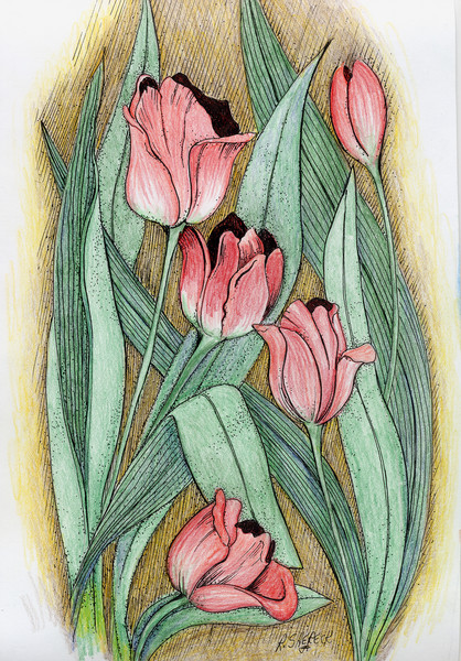 Tulip Fantasy