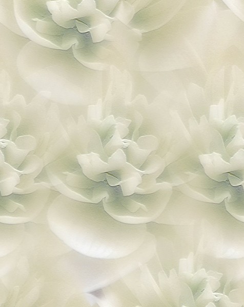 Winter White Flowers (Two)