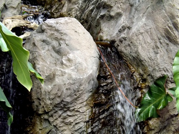 Little Waterfalls In The Green House (Three)