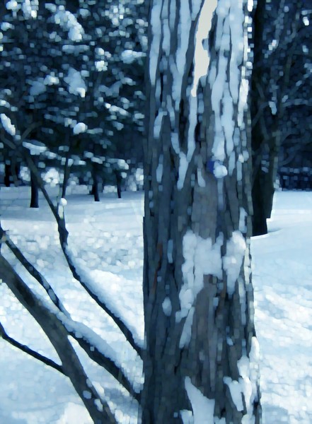 Snowy Tree In Blue (One)