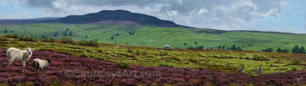 The Dales