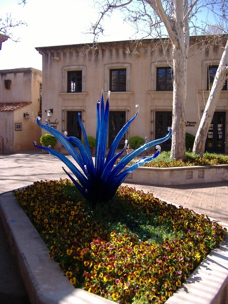 Blue Agave
