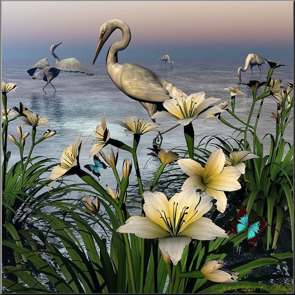Egret's Pond 2