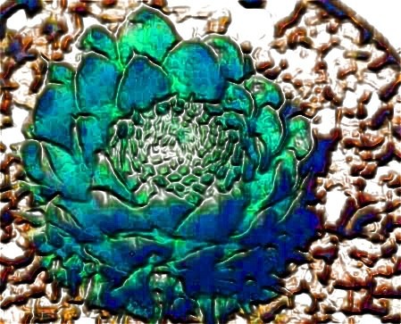 Stained Glass Succulent