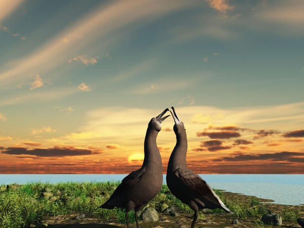 Love is in the air