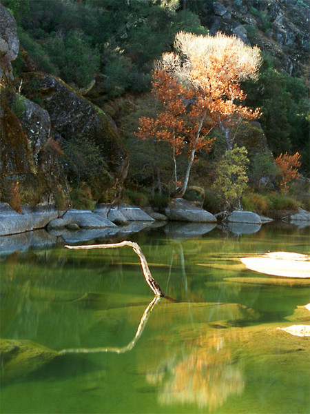 The Green Pool