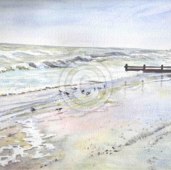birds on the beach