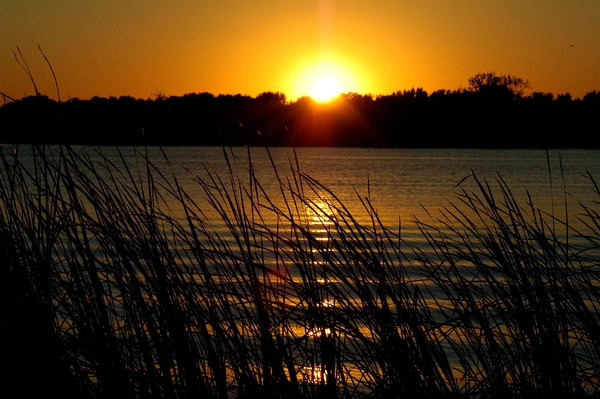 Serenity