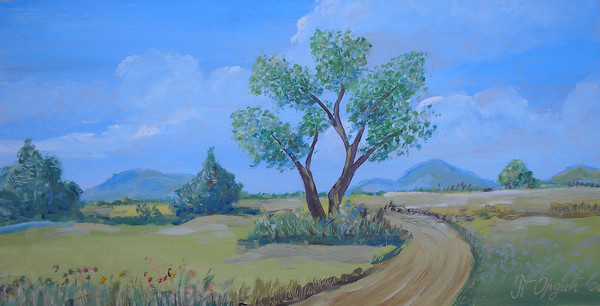 road in the field
