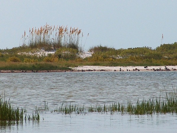 SAND DUNES
