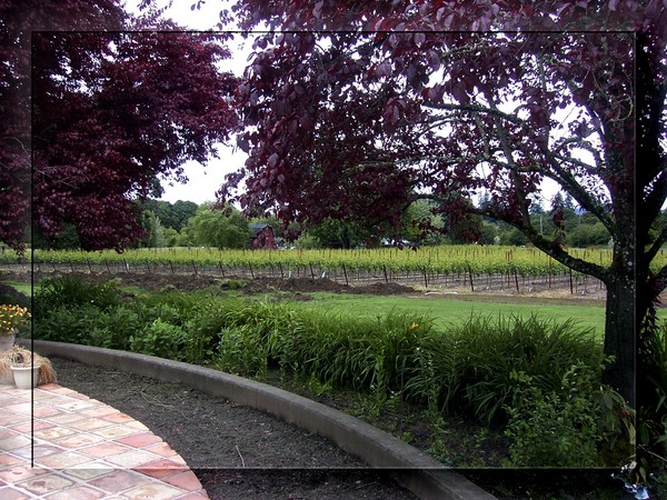 Oregon winery