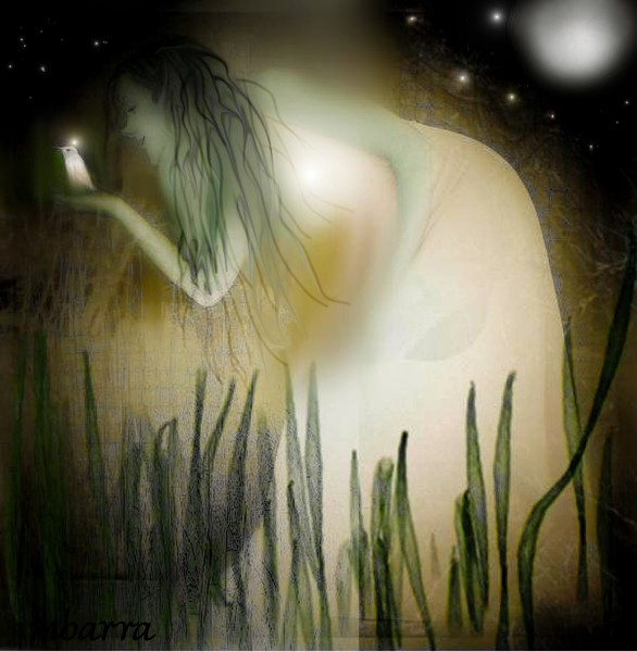 The White Bird