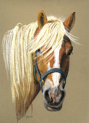 Original Palomino Mare pastel painting