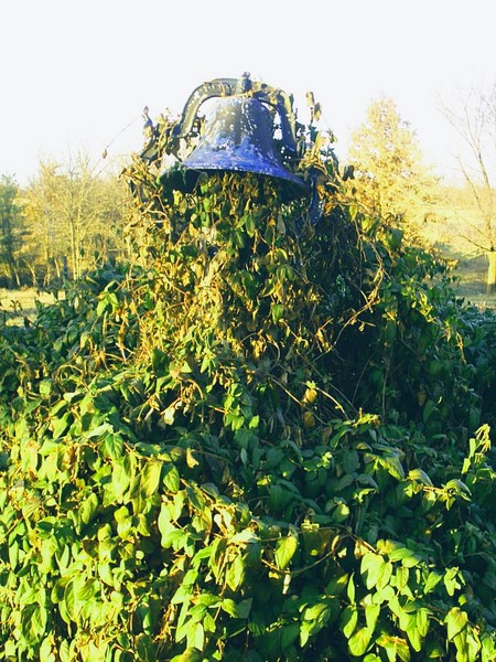 bell