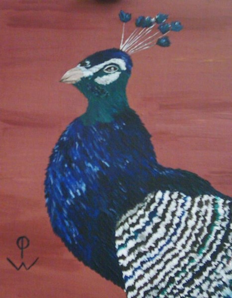 Pfau