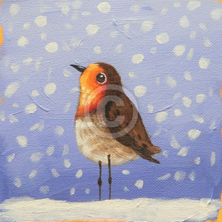 Robin 