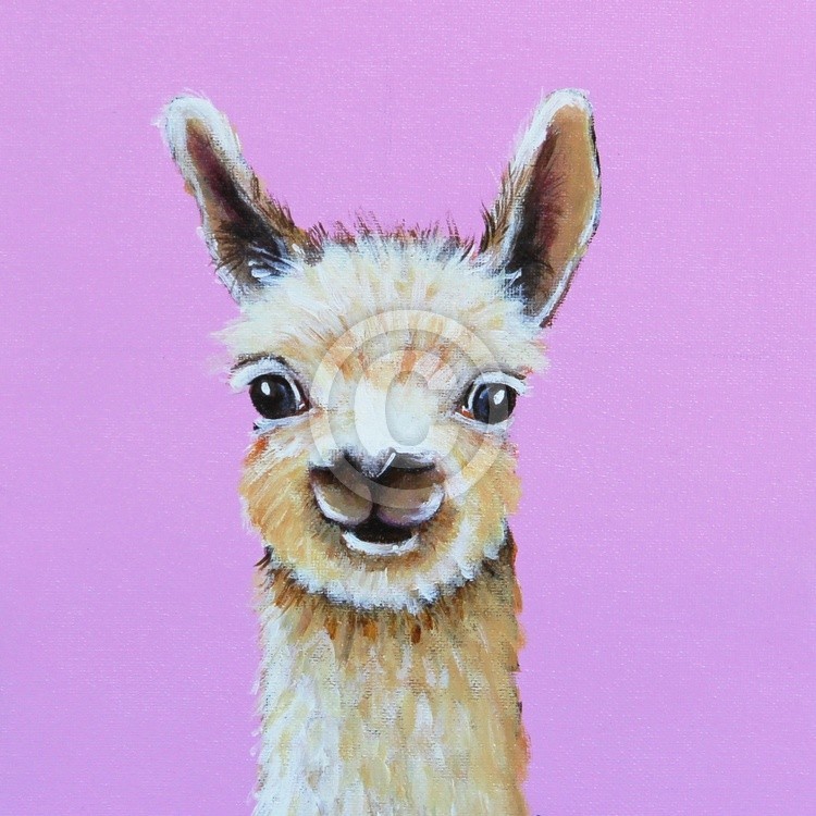 Llama in pink
