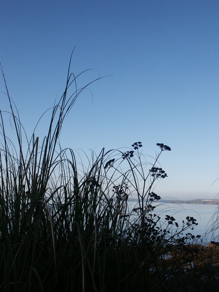 Blue Beach View
