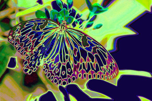 Psychedelic Idea