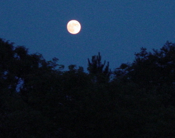 The moon