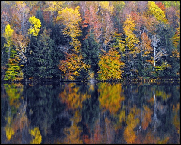 Autumns Reflection On West Canada Crk,Prospect,N.Y