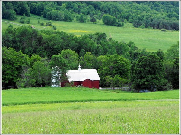 Barn In The Valley 