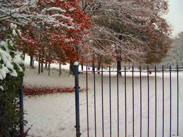 THE PARK ENTRANCE