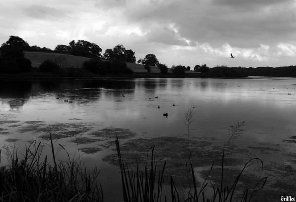 TURNING DUSK