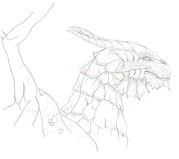 Copper Dragon Lineart