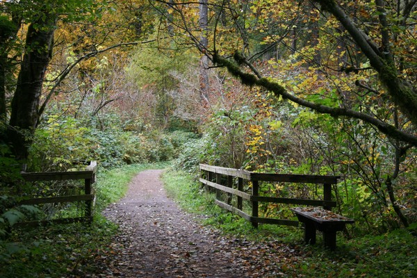 Bench #5 at Deep Lake