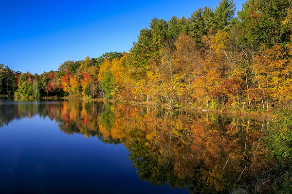 fall morning 10/15