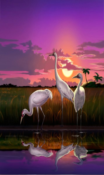 Whooping Cranes Sunset - Custom Phone Case Art