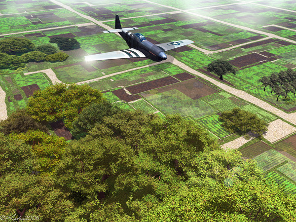 A Bird's Eye View
