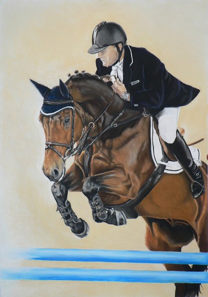 Showjumper  for sale