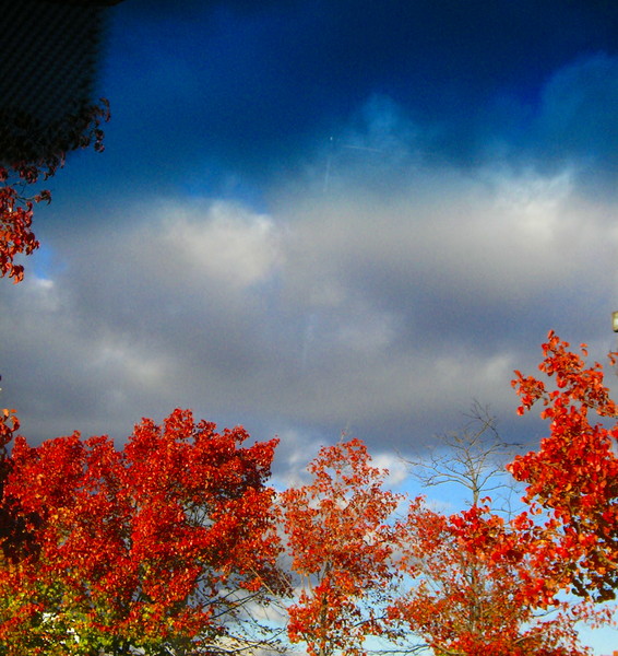 Magical Autumn Sky