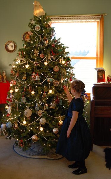 Trimming the Tree