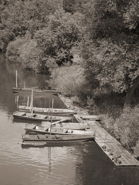 boats