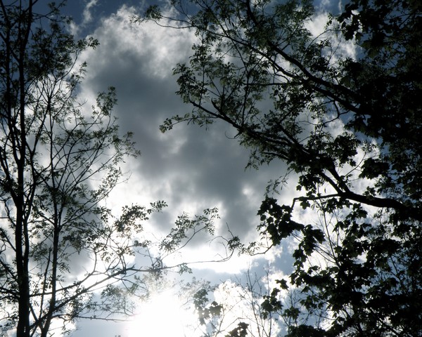 Raw Sky