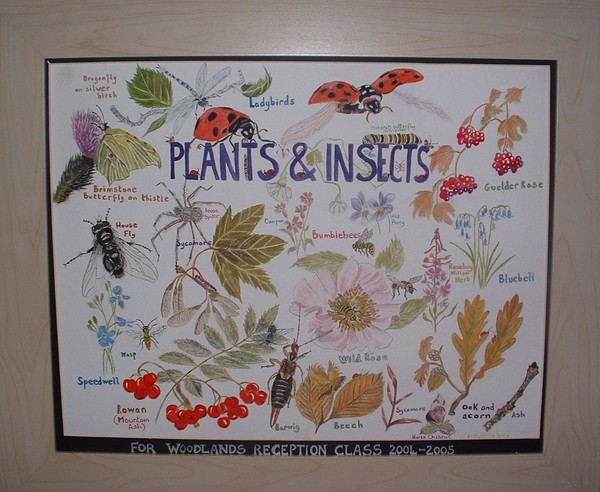 Insects and Plants