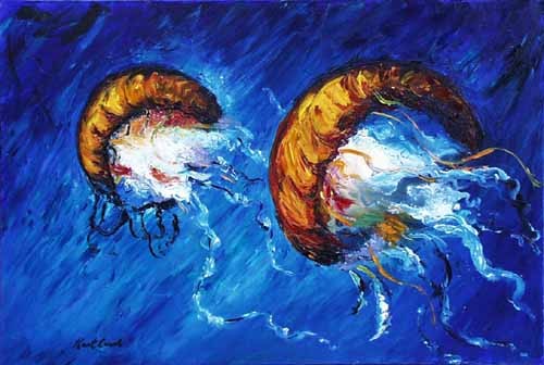 Jellyfish