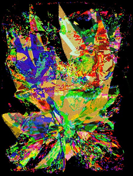 splASH 42