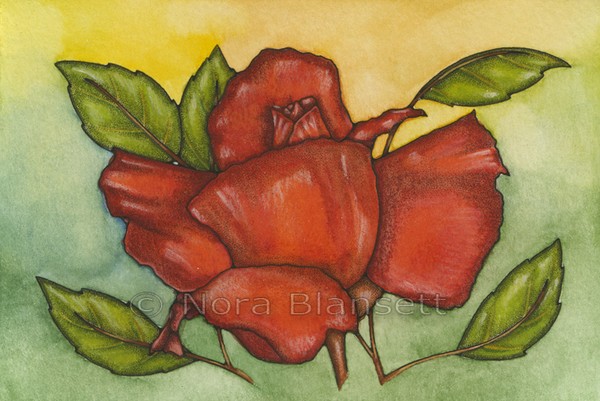 Sunset Rose