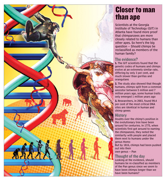 infographic